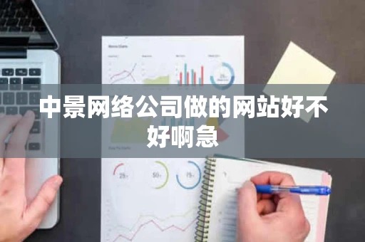 中景网络公司做的网站好不好啊急