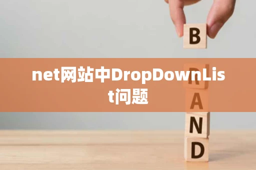 net网站中DropDownList问题