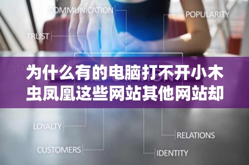 为什么有的电脑打不开小木虫凤凰这些网站其他网站却可以