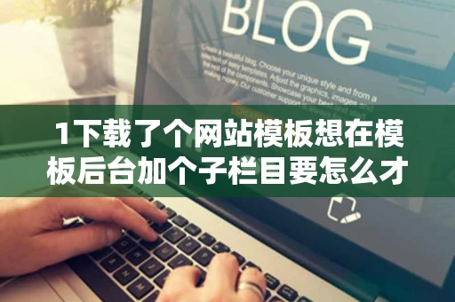 1下载了个网站模板想在模板后台加个子栏目要怎么才能在前台显示