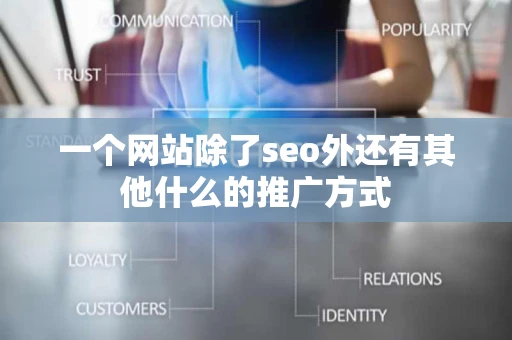 一个网站除了seo外还有其他什么的推广方式