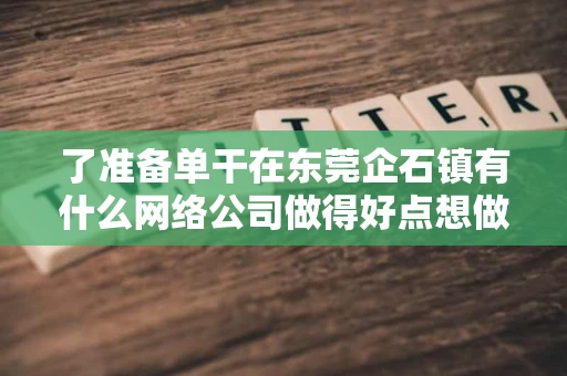 了准备单干在东莞企石镇有什么网络公司做得好点想做个网站宣传