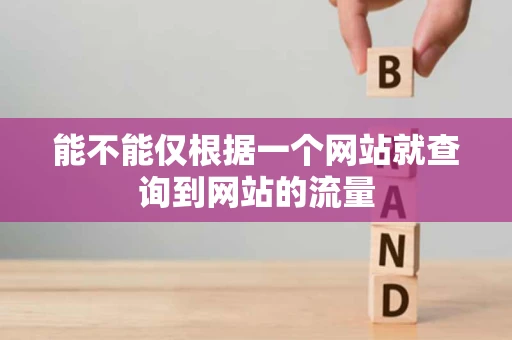 能不能仅根据一个网站就查询到网站的流量