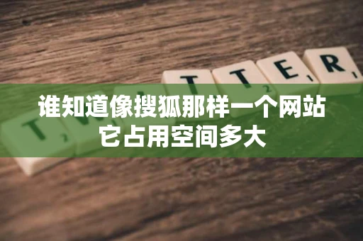谁知道像搜狐那样一个网站它占用空间多大