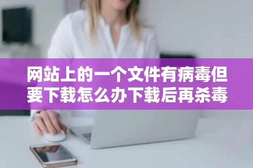 网站上的一个文件有病毒但要下载怎么办下载后再杀毒