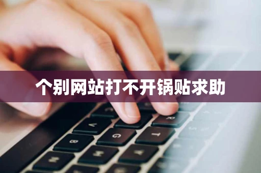 个别网站打不开锅贴求助