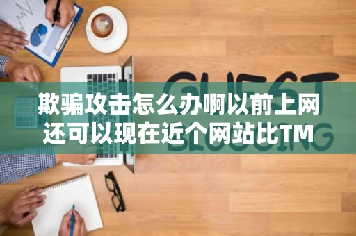 欺骗攻击怎么办啊以前上网还可以现在近个网站比TM手机还慢