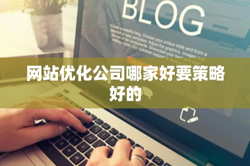 网站优化公司哪家好要策略好的