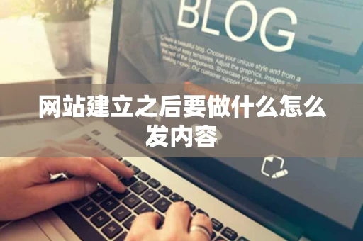 网站建立之后要做什么怎么发内容