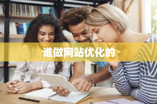 谁做网站优化的