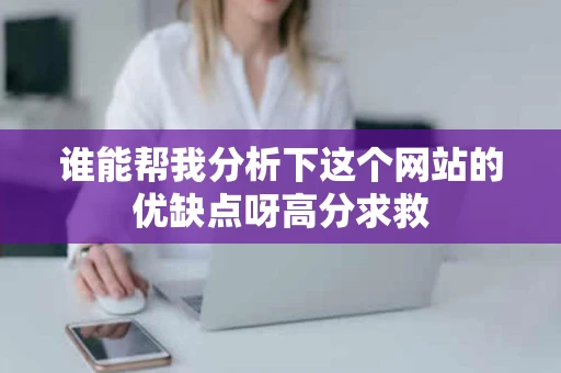 谁能帮我分析下这个网站的优缺点呀高分求救