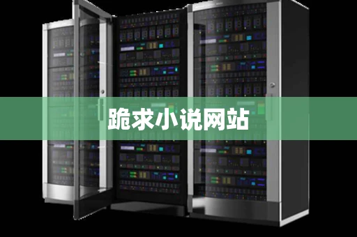 跪求小说网站