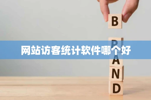 网站访客统计软件哪个好