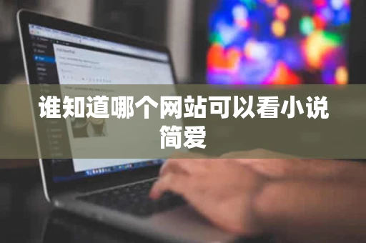 谁知道哪个网站可以看小说简爱 谁知道哪个网站可以看小说简爱