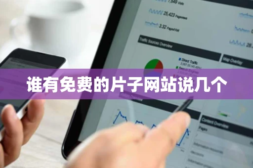 谁有免费的片子网站说几个 谁有免费的片子网站说几个