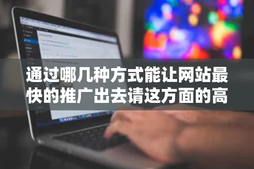 通过哪几种方式能让网站最快的推广出去请这方面的高手说说有哪