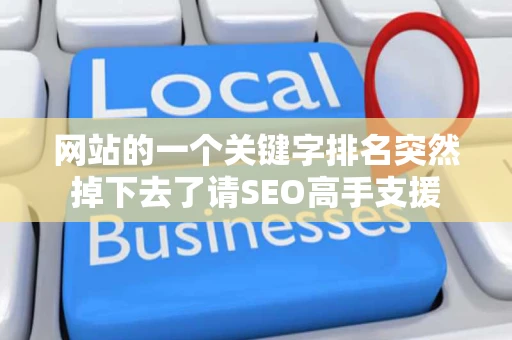 网站的一个关键字排名突然掉下去了请SEO高手支援