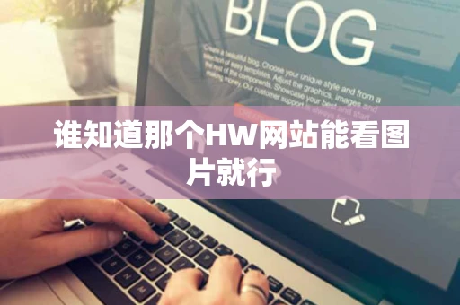 谁知道那个HW网站能看图片就行