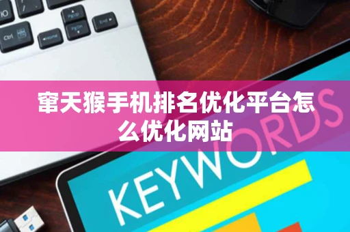 窜天猴手机排名优化平台怎么优化网站