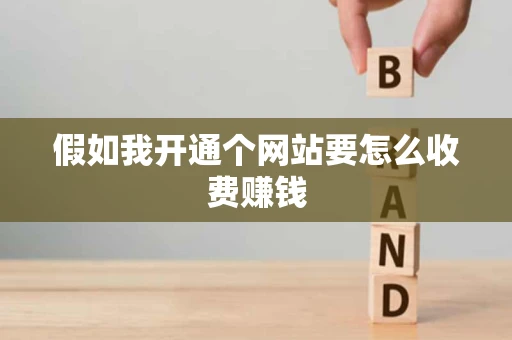 假如我开通个网站要怎么收费赚钱