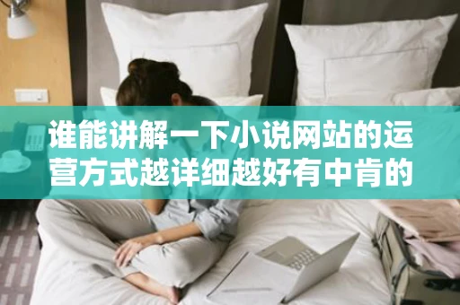 谁能讲解一下小说网站的运营方式越详细越好有中肯的建议的可以
