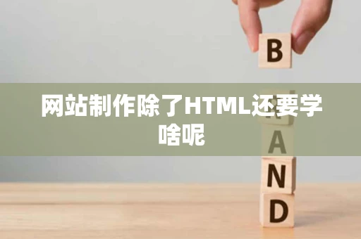 网站制作除了HTML还要学啥呢