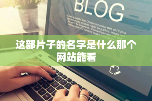 这部片子的名字是什么那个网站能看