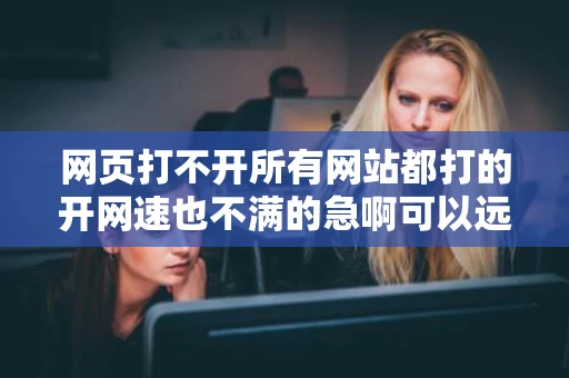 网页打不开所有网站都打的开网速也不满的急啊可以远程协助我