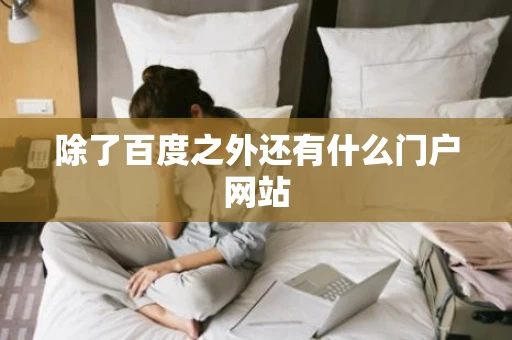 除了百度之外还有什么门户网站