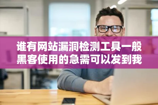 谁有网站漏洞检测工具一般黑客使用的急需可以发到我邮箱