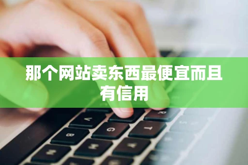 那个网站卖东西最便宜而且有信用 那个网站卖东西最便宜而且有信用
