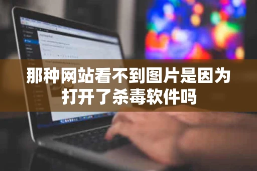 那种网站看不到图片是因为打开了杀毒软件吗