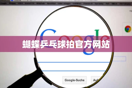蝴蝶乒乓球拍官方网站