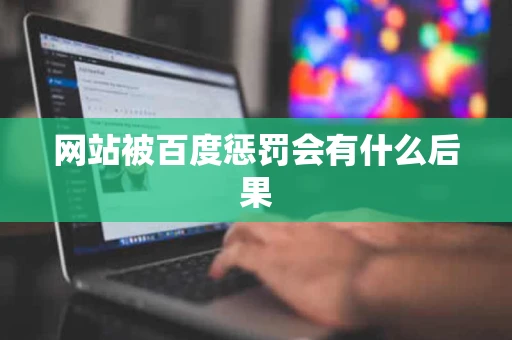 网站被百度惩罚会有什么后果