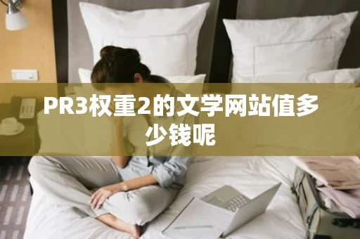 PR3权重2的文学网站值多少钱呢 PR3权重2的文学网站值多少钱呢