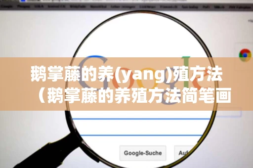 鹅掌藤的养(yang)殖方法（鹅掌藤的养殖方法简笔画图片大全）