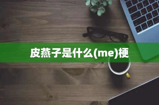 皮燕子是什么(me)梗