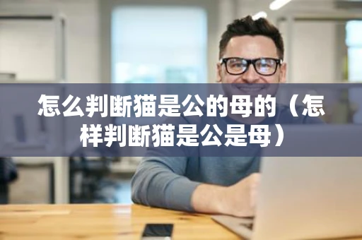 怎么判断猫是公的母的(怎样判断猫是公是母) 怎么判断猫是公的母的(怎样判断猫是公是母)