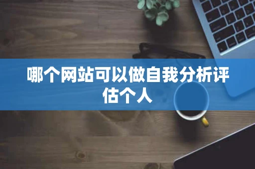 哪个网站可以做自我分析评估个人 哪个网站可以做自我分析评估个人