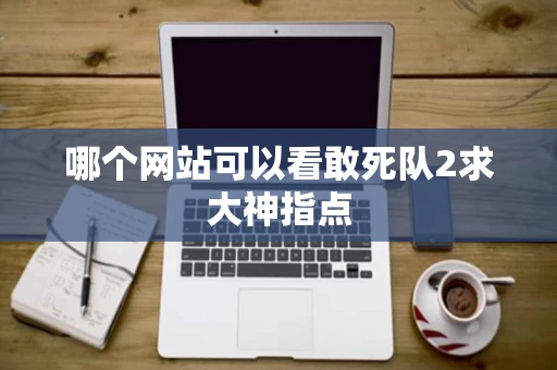 哪个网站可以看敢死队2求大神指点 哪个网站可以看敢死队2求大神指点