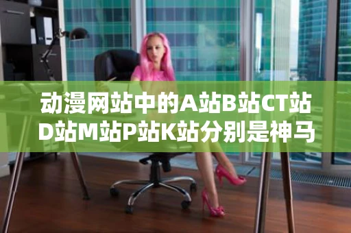 动漫网站中的A站B站CT站D站M站P站K站分别是神马还有神马 动漫网站中的A站B站CT站D站M站P站K站分别是神马还有神马