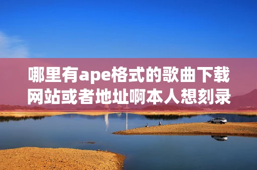 哪里有ape格式的歌曲下载网站或者地址啊本人想刻录光盘谢谢了 哪里有ape格式的歌曲下载网站或者地址啊本人想刻录光盘谢谢了