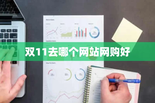 双11去哪个网站网购好 双11去哪个网站网购好