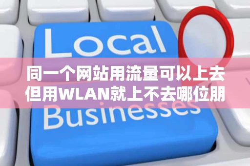 同一个网站用流量可以上去但用WLAN就上不去哪位朋友能告诉我是
