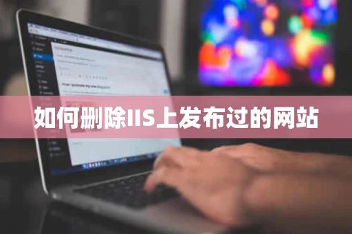 如何删除IIS上发布过的网站