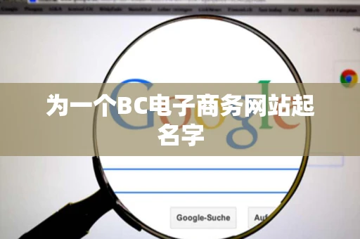 为一个BC电子商务网站起名字 为一个BC电子商务网站起名字