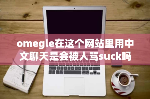 omegle在这个网站里用中文聊天是会被人骂suck吗